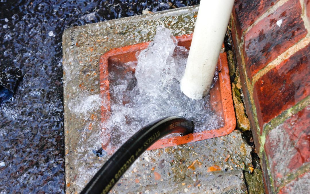 Understanding Blocked Drains: Causes and Prevention Techniques